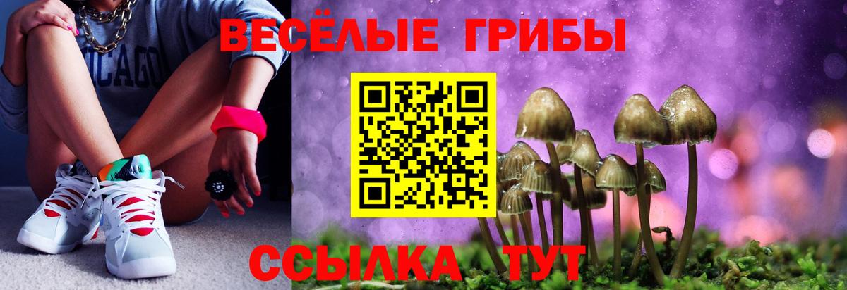 Галлюциногенные грибы прущие грибы  Вход с VPN  Псилоцибиновые грибы Magic Shrooms  наркотики  Городец 