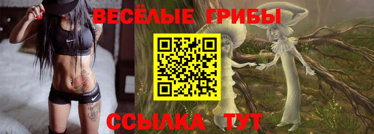 Галлюциногенные грибы Magic Shrooms Городец